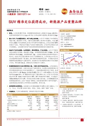 SUV精准定位获得成功，新能源产品重塑品牌