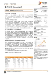 业绩靓丽,继续看好公司长期成长前景