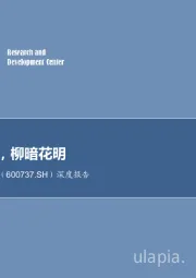 深度报告：穿越周期，柳暗花明