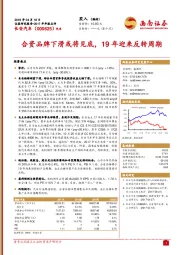 合资品牌下滑或将见底，19年迎来反转周期