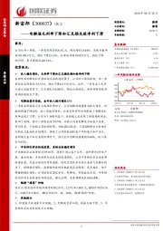 电解液毛利率下降和汇兑损失致净利下滑