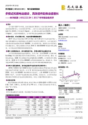 2017年年报业绩点评：多模式拓展电站建设，高效组件助推业绩增长