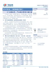 17业绩优异，产品线及管理日臻完善