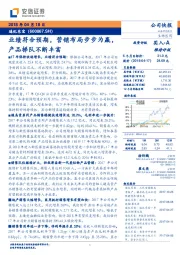 业绩符合预期,营销布局步步为赢,产品梯队不断丰富