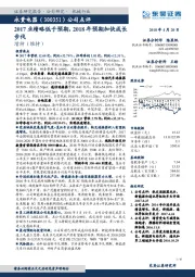 公司点评：2017业绩略低于预期，2018年预期加快成长步伐