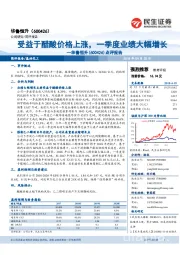 点评报告：受益于醋酸价格上涨，一季度业绩大幅增长