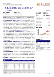 公司季报点评：一季度业绩超预期，待乙二醇项目投产