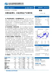 业绩快速增长,加速实现全产业链布局