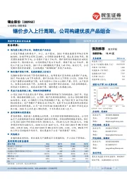 锡价步入上行周期，公司构建优质产品组合