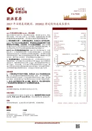 2017年业绩表现靓丽，2018Q1将延续快速成长势头