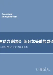 首次覆盖报告：绑定强自主助力高增长 细分龙头蓄势成长