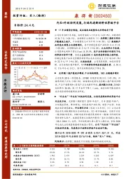 内生+外延协同发展，打造先进新材料世界级平台