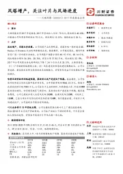 2017年度报告点评：风塔增产，关注叶片与风场进度