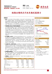 短期业绩承压不改长期发展潜力