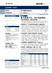 2017年年报点评：着力渠道下沉，龙头高速增长