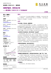 17年年报点评:深挖护城河,风华正少年