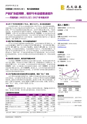 2017年年报点评:产能扩张超预期,看好今年业绩增速提升