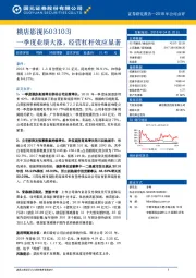 一季度业绩大涨，经营杠杆效应显著