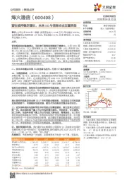 营收维持稳定增长，未来5G与信息安全双重受益