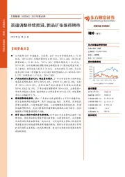 2017年报点评：渠道调整持续推进，新品扩张值得期待