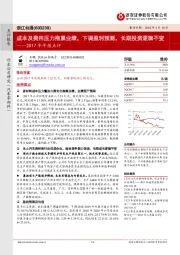 2017年年报点评：成本及费用压力拖累业绩，下调盈利预测，长期投资逻辑不变