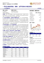 公司季报点评：一季度业绩超预期，菊酯、麦草畏推动业绩高增长