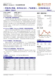 赣锋锂业一季报点评 ：一季报符合预期，原料供应充足、产能增量大，有望持续高成长