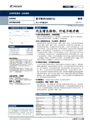 2017年年报点评：内生增长强劲，外延不断并购