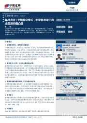 年报点评：业绩稳定增长，新零售浪潮下商业数据价值凸显