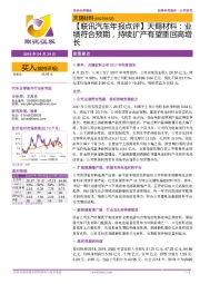 【联讯汽车年报点评】天赐材料:业绩符合预期,持续扩产有望重回高增长