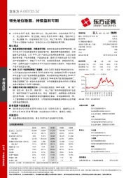 领先地位稳固，持续盈利可期