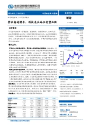 营收高速增长，科技龙头地位有望加强