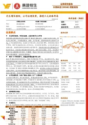 内生增长强劲,公司治理优秀,推进三大战略布局