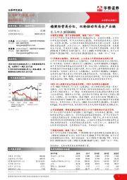 稳健经营高分红，双轮驱动布局全产业链