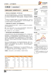 五粮液全面起飞深度研究系列一：直控终端