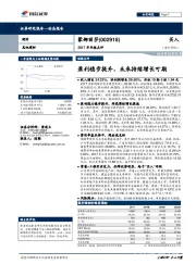 2017年年报点评：盈利稳步提升，未来持续增长可期