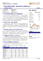 杉杉股份一季报点评:一季度业绩符合预期,锂电材料龙头保持高成长