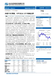 业绩不及预期,今年关注LFP领域反弹
