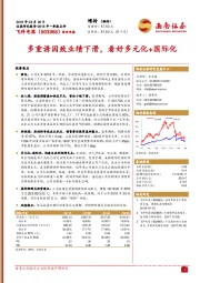 多重诱因致业绩下滑，看好多元化+国际化