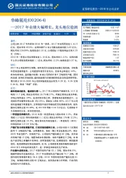 2017年业绩大幅增长，龙头地位稳固