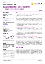 2017年报点评：资金充裕保障项目落地，公司18年发展可期