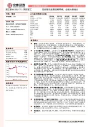 双轮驱动发展战略明晰，业绩大幅增长