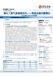 点评报告：氟化工景气度继续回升，一季度业绩大幅增长