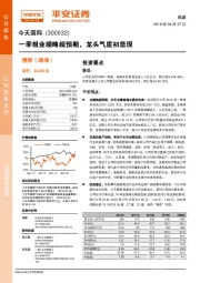 一季报业绩略超预期,龙头气质初显现