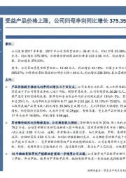 受益产品价格上涨，公司归母净利同比增长375.35%