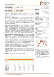 铜价维持高位，Q1业绩符合预期