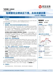 2018年一季报点评：短期营收业绩承压下滑，未来有望改善