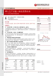 深度报告：磷化工产业链一体化优势企业