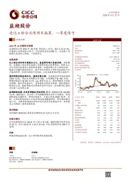 受化工综合利用项目拖累，一季度续亏