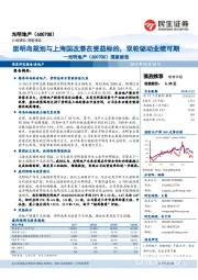 深度报告：崇明岛规划与上海国改潜在受益标的，双轮驱动业绩可期